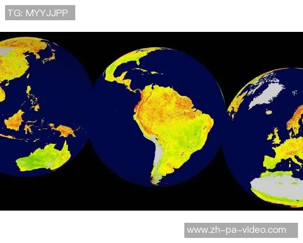 足球假球现象的深层原因与对策探讨及其对体育公平的影响分析